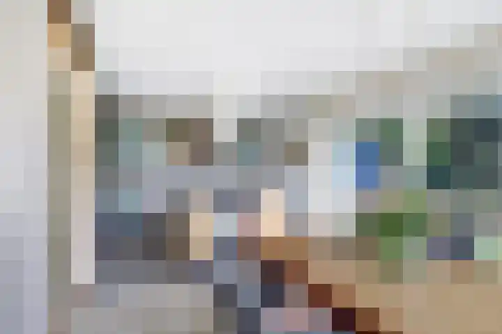 P C Boutenssingel 32 Capelle aan den IJssel thumbnail 21
