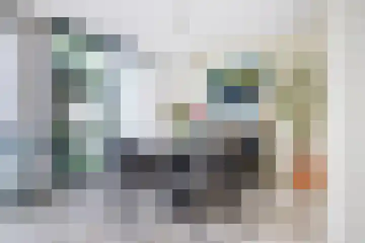 P C Boutenssingel 32 Capelle aan den IJssel thumbnail 22