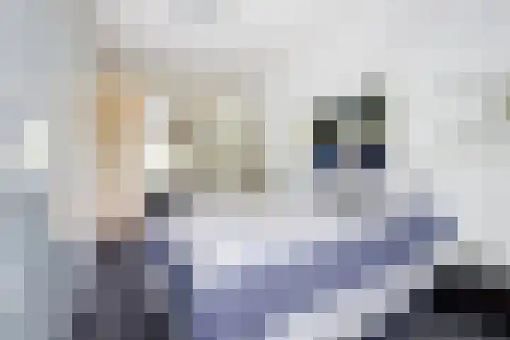 P C Boutenssingel 32 Capelle aan den IJssel thumbnail 24