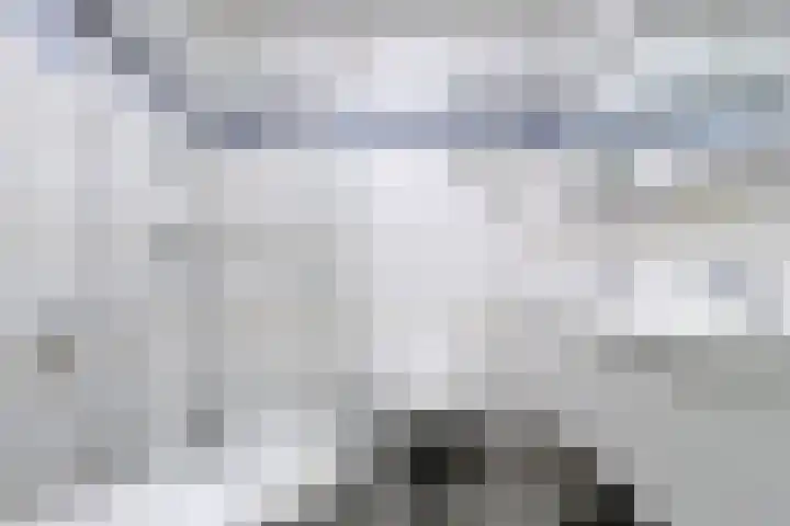 P C Boutenssingel 32 Capelle aan den IJssel thumbnail 35