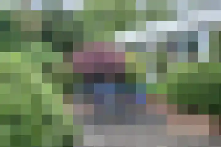 P C Boutenssingel 32 Capelle aan den IJssel thumbnail 37