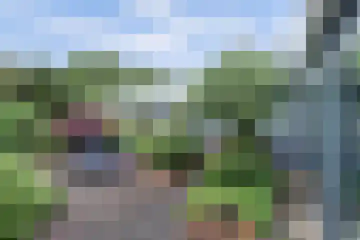 P C Boutenssingel 32 Capelle aan den IJssel thumbnail 38