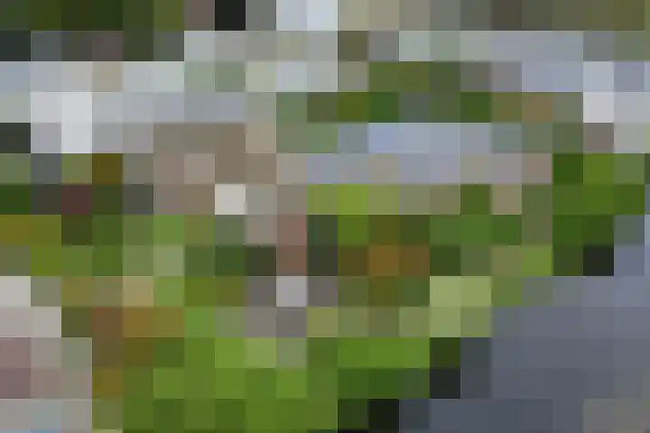 P C Boutenssingel 32 Capelle aan den IJssel thumbnail 39