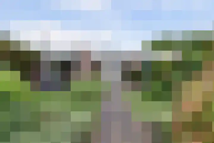 P C Boutenssingel 32 Capelle aan den IJssel thumbnail 4