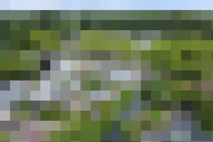 P C Boutenssingel 32 Capelle aan den IJssel thumbnail 40