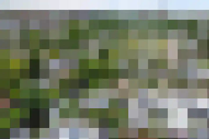 P C Boutenssingel 32 Capelle aan den IJssel thumbnail 41