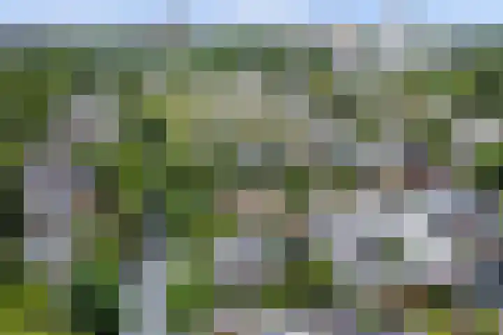 P C Boutenssingel 32 Capelle aan den IJssel thumbnail 42