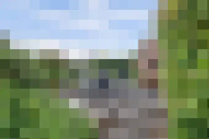 P C Boutenssingel 32 Capelle aan den IJssel thumbnail 43