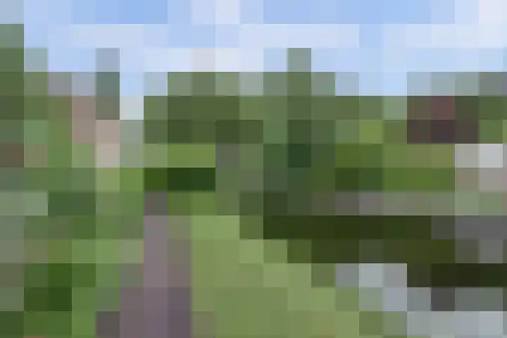 P C Boutenssingel 32 Capelle aan den IJssel thumbnail 45