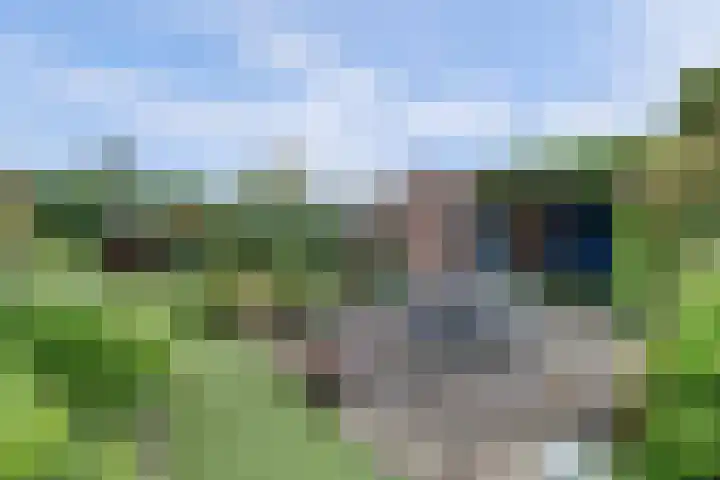 P C Boutenssingel 32 Capelle aan den IJssel thumbnail 46