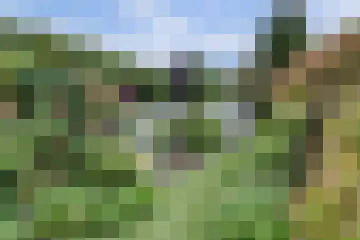 P C Boutenssingel 32 Capelle aan den IJssel thumbnail 47