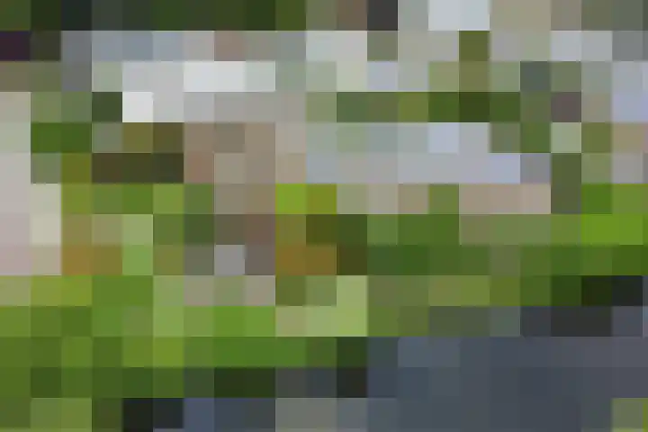 P C Boutenssingel 32 Capelle aan den IJssel thumbnail 48
