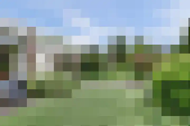 P C Boutenssingel 32 Capelle aan den IJssel thumbnail 5