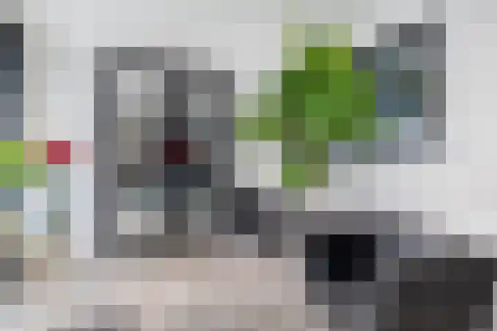 P C Boutenssingel 34 Capelle aan den IJssel thumbnail 10