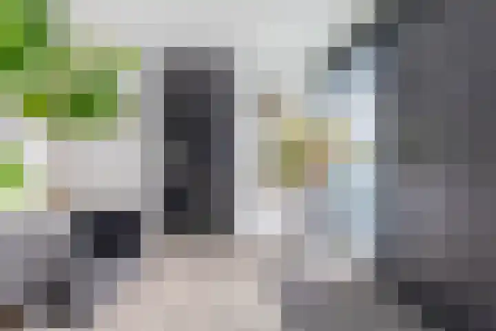 P C Boutenssingel 34 Capelle aan den IJssel thumbnail 11