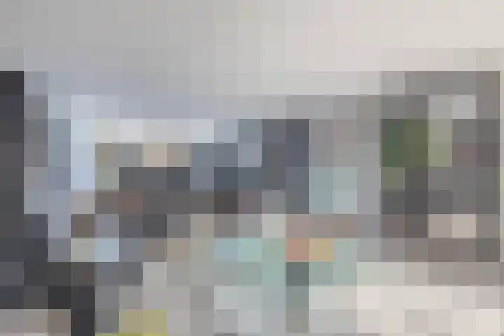 P C Boutenssingel 34 Capelle aan den IJssel thumbnail 13