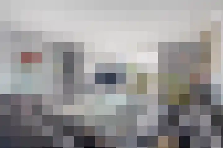 P C Boutenssingel 34 Capelle aan den IJssel thumbnail 15