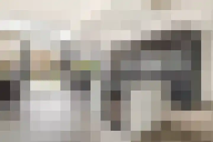 P C Boutenssingel 34 Capelle aan den IJssel thumbnail 17