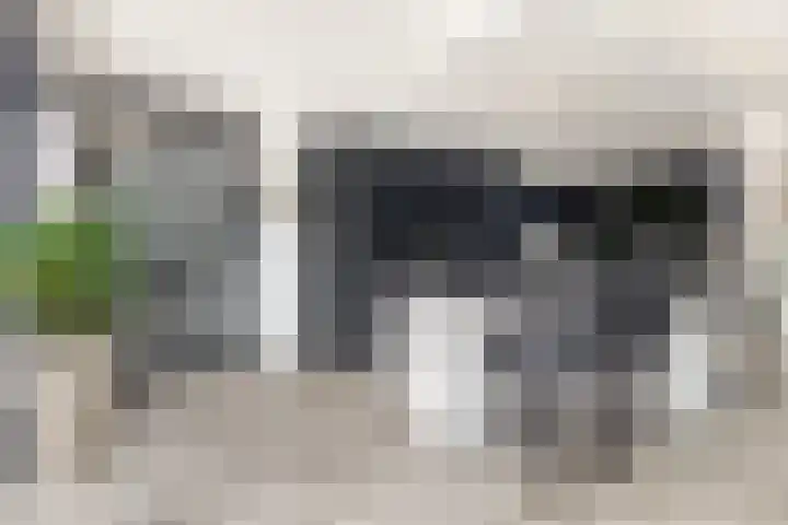 P C Boutenssingel 34 Capelle aan den IJssel thumbnail 18