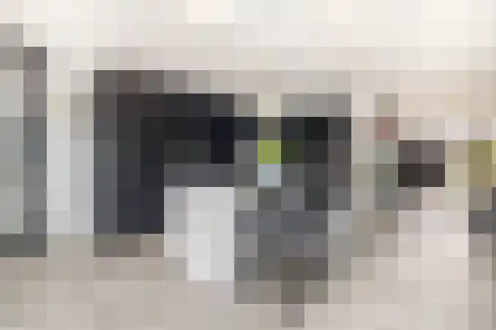 P C Boutenssingel 34 Capelle aan den IJssel thumbnail 19