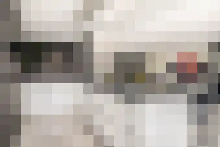 P C Boutenssingel 34 Capelle aan den IJssel thumbnail 21