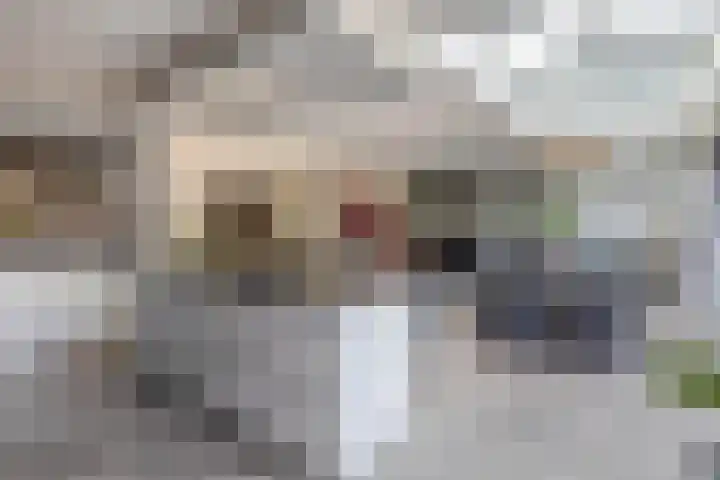 P C Boutenssingel 34 Capelle aan den IJssel thumbnail 22