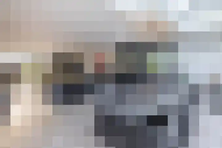 P C Boutenssingel 34 Capelle aan den IJssel thumbnail 23