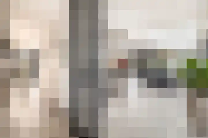 P C Boutenssingel 34 Capelle aan den IJssel thumbnail 25