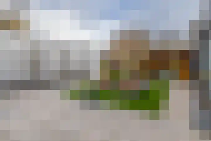 P C Boutenssingel 34 Capelle aan den IJssel thumbnail 29