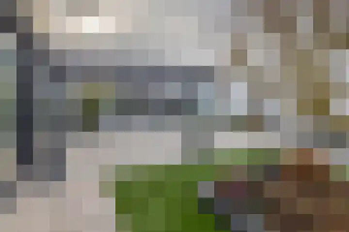 P C Boutenssingel 34 Capelle aan den IJssel thumbnail 30