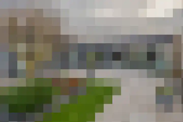 P C Boutenssingel 34 Capelle aan den IJssel thumbnail 31