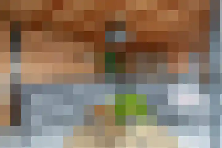 P C Boutenssingel 34 Capelle aan den IJssel thumbnail 32