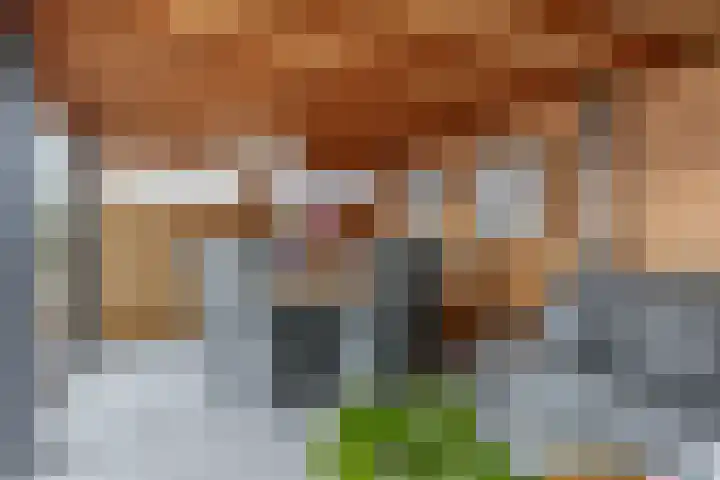 P C Boutenssingel 34 Capelle aan den IJssel thumbnail 33