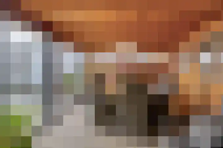 P C Boutenssingel 34 Capelle aan den IJssel thumbnail 34