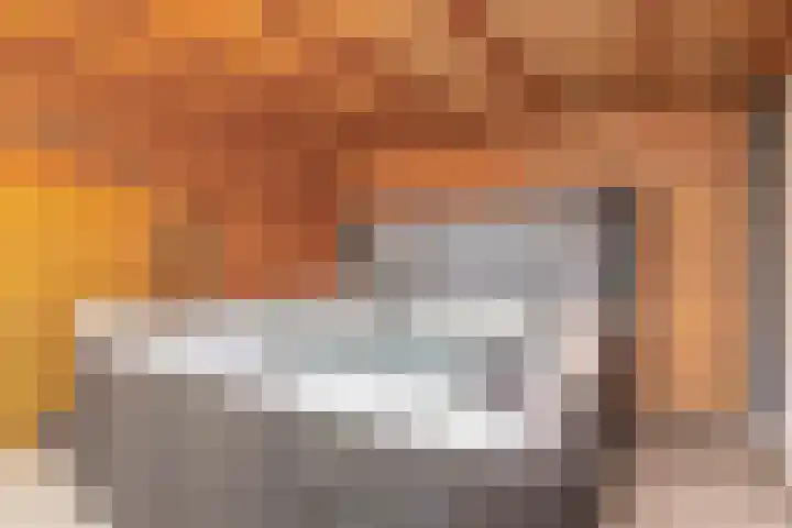 P C Boutenssingel 34 Capelle aan den IJssel thumbnail 36