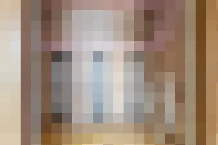 P C Boutenssingel 34 Capelle aan den IJssel thumbnail 38