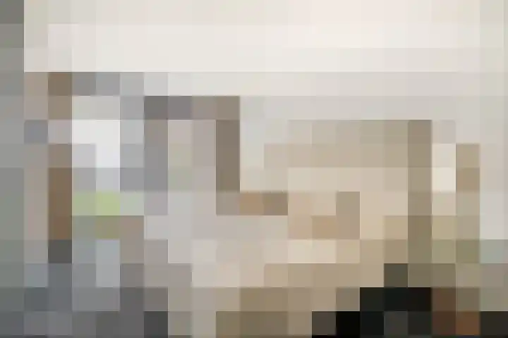 P C Boutenssingel 34 Capelle aan den IJssel thumbnail 39
