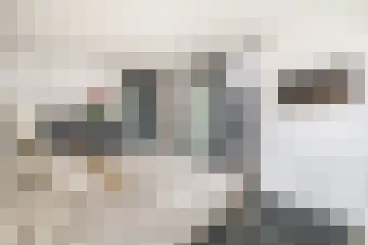 P C Boutenssingel 34 Capelle aan den IJssel thumbnail 40