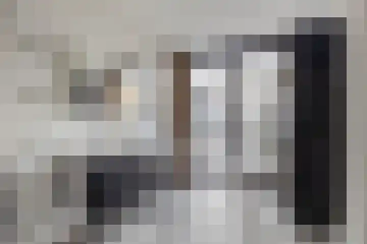 P C Boutenssingel 34 Capelle aan den IJssel thumbnail 43