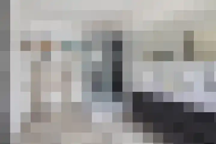 P C Boutenssingel 34 Capelle aan den IJssel thumbnail 44