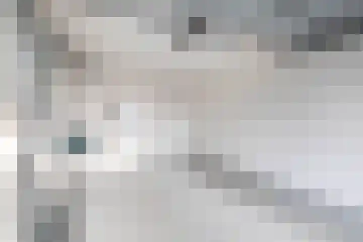 P C Boutenssingel 34 Capelle aan den IJssel thumbnail 47