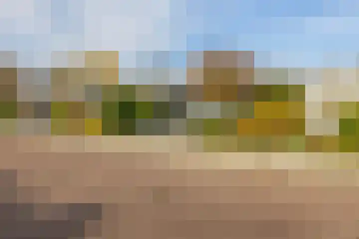 P C Boutenssingel 34 Capelle aan den IJssel thumbnail 5