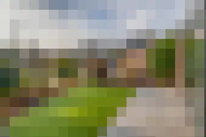 P C Boutenssingel 34 Capelle aan den IJssel thumbnail 6