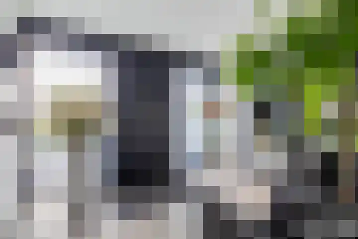 P C Boutenssingel 34 Capelle aan den IJssel thumbnail 9