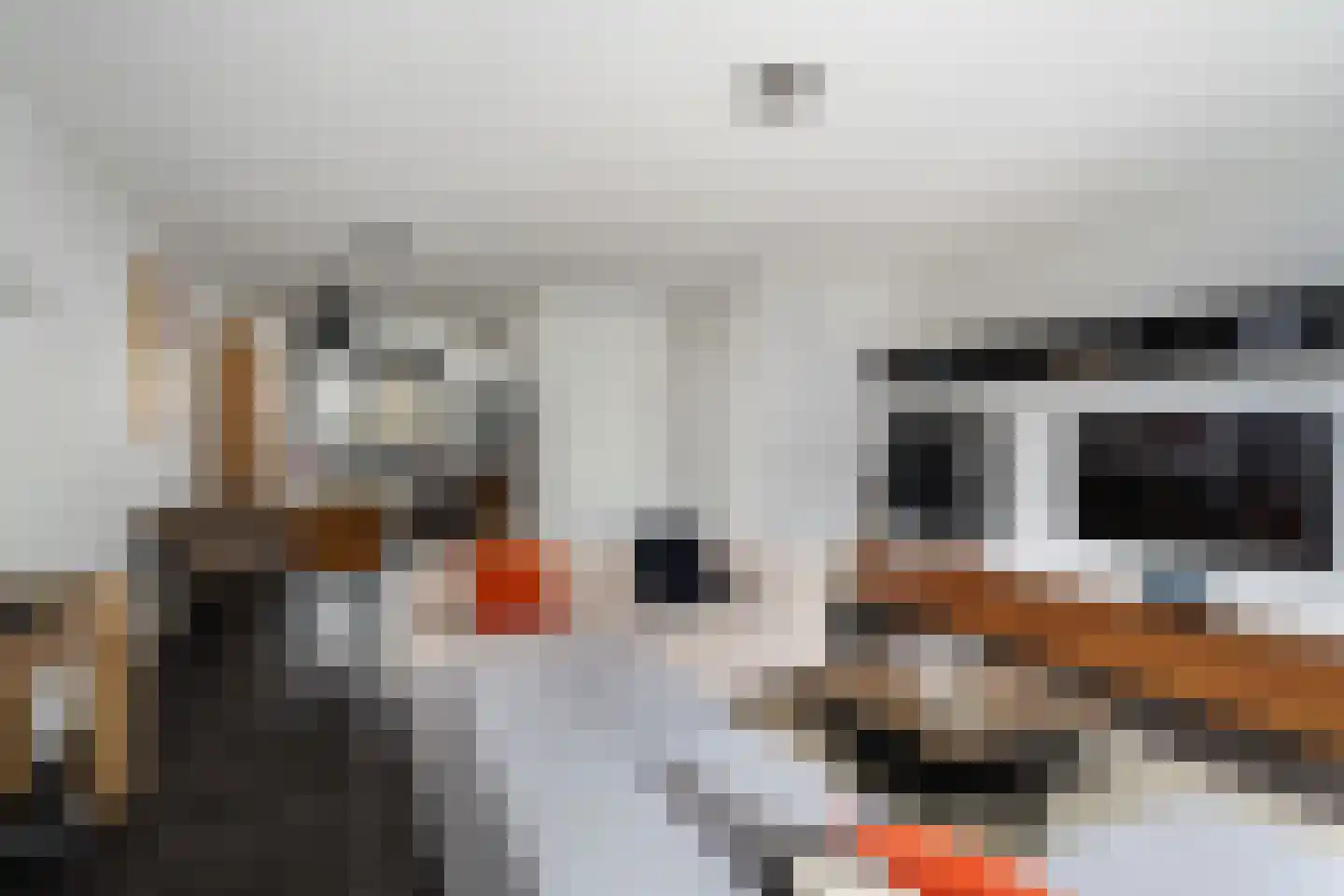 P C Boutenssingel 43 Capelle aan den IJssel thumbnail 10