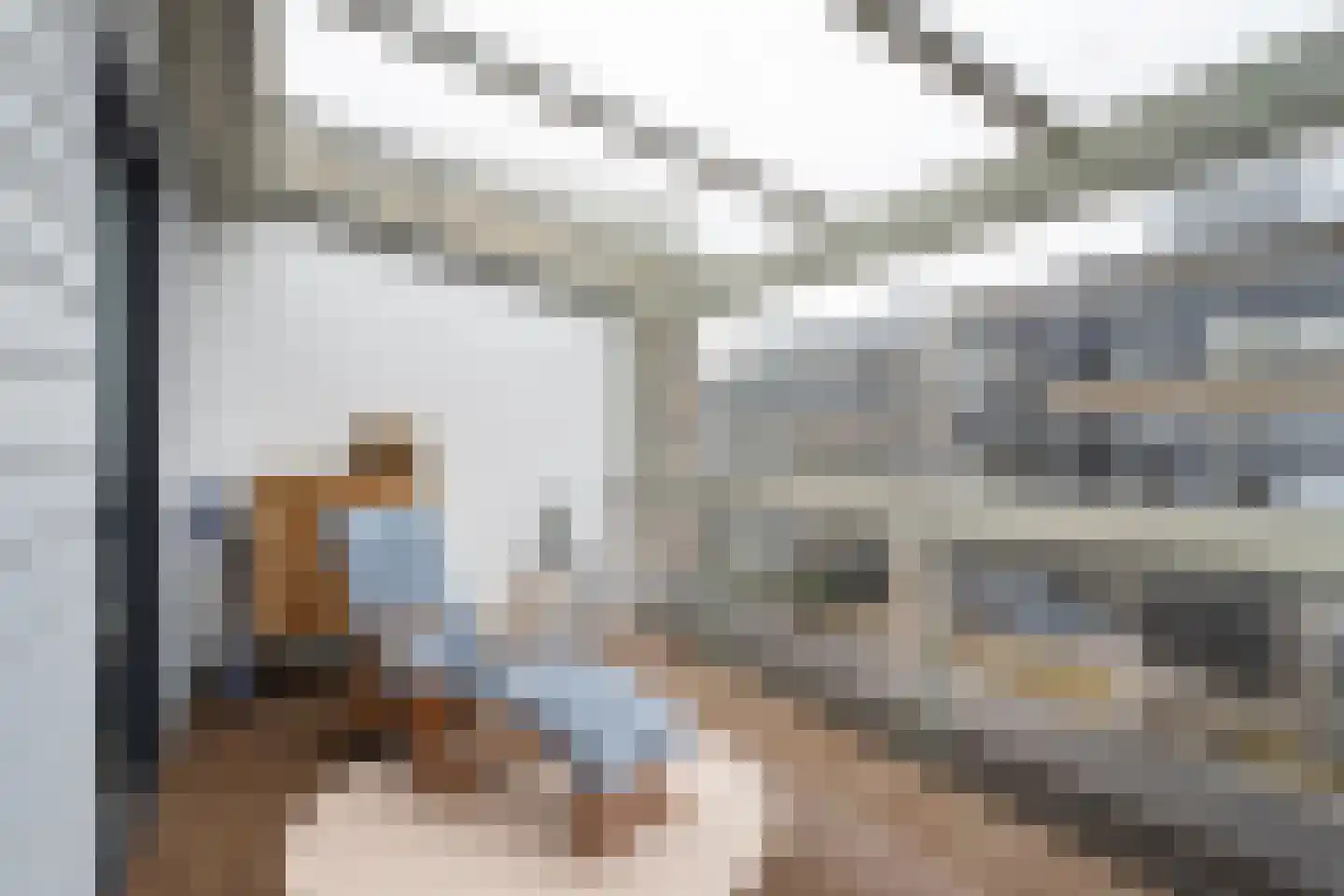 P C Boutenssingel 43 Capelle aan den IJssel thumbnail 26