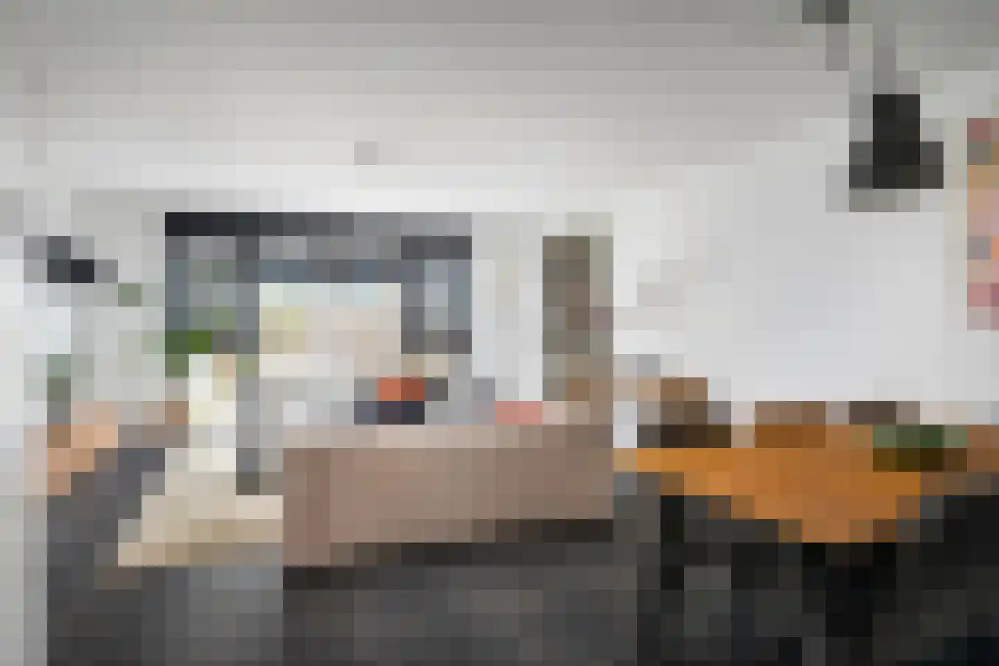 P C Boutenssingel 43 Capelle aan den IJssel thumbnail 6