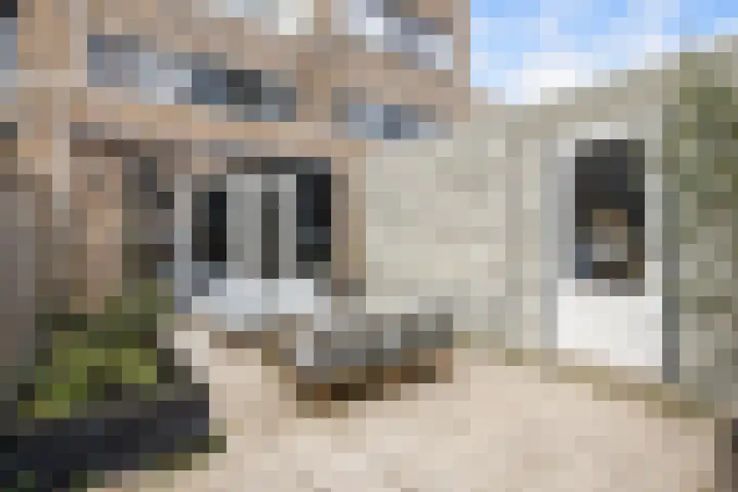 P C Boutenssingel 43 Capelle aan den IJssel thumbnail 9