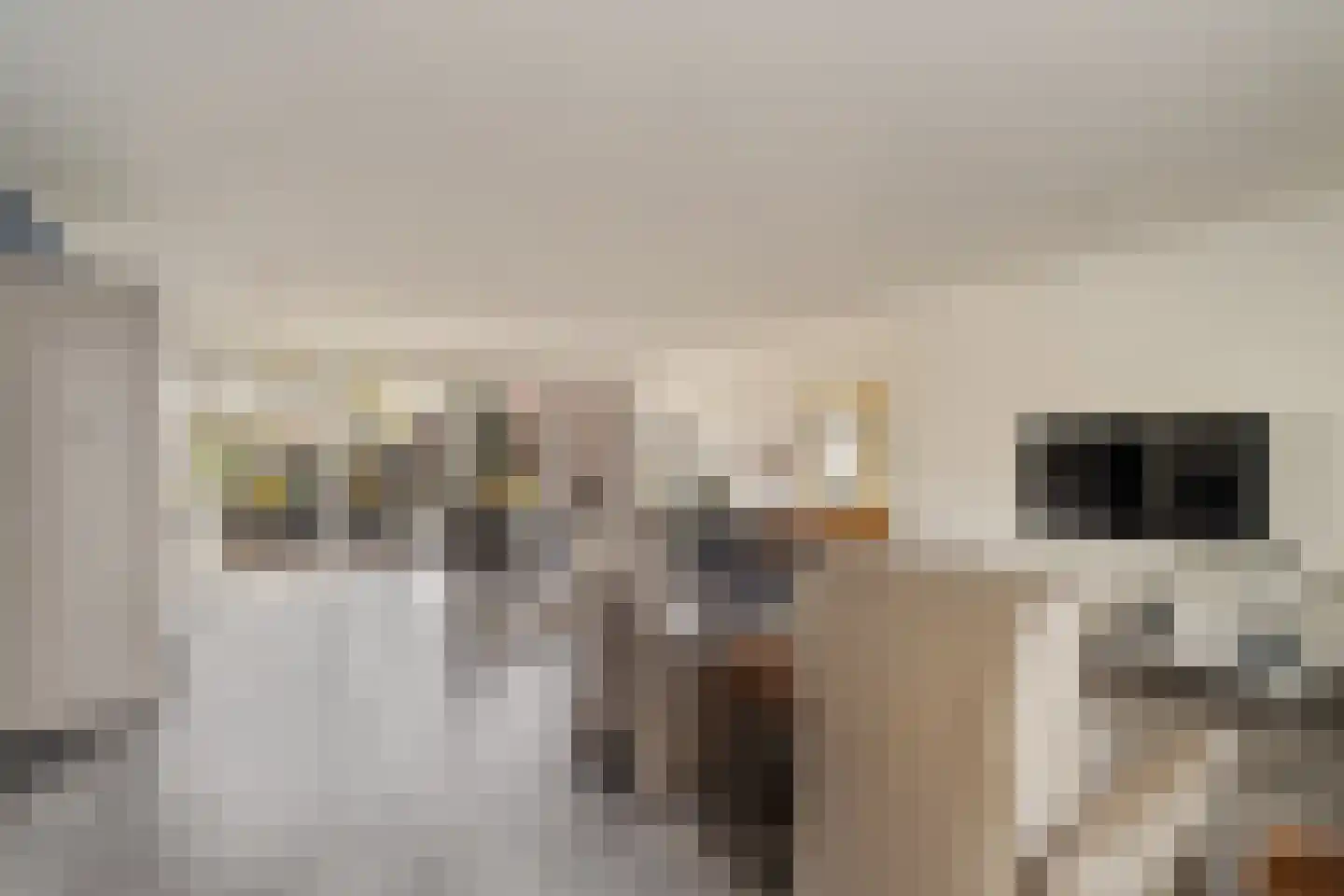 P C Boutenssingel 48 Capelle aan den IJssel thumbnail 10