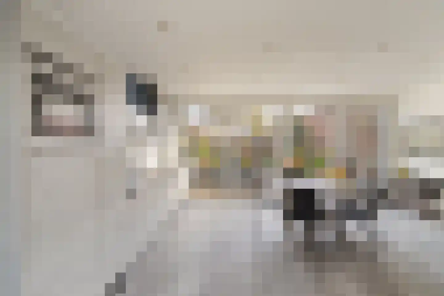 P C Boutenssingel 48 Capelle aan den IJssel thumbnail 14